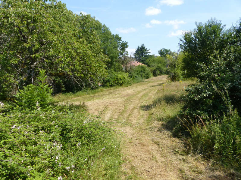 Terrain à SAINT-VALLIER