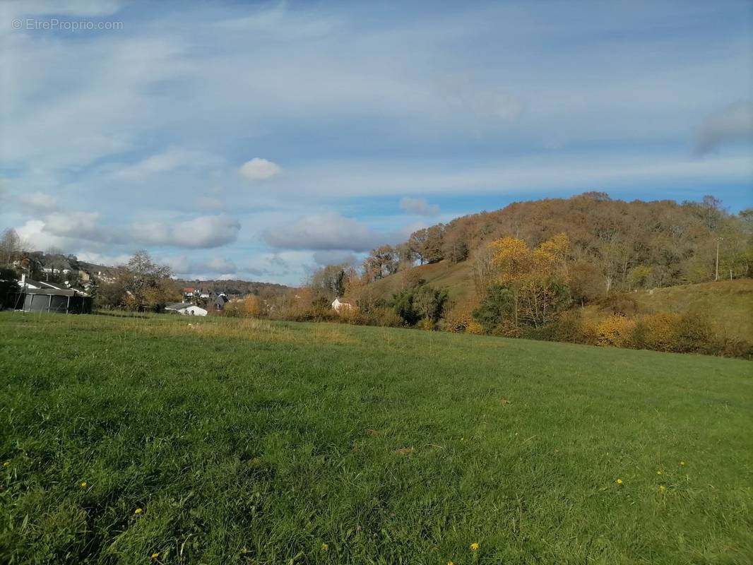 Terrain à MAULEON-LICHARRE