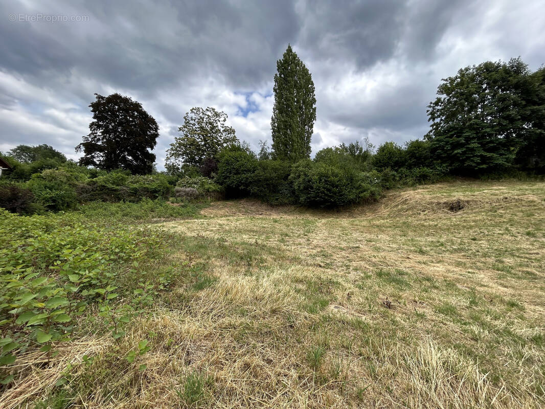 Terrain à BAN-DE-LAVELINE