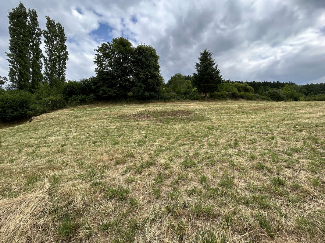 Terrain à BAN-DE-LAVELINE