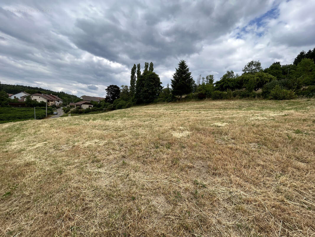 Terrain à BAN-DE-LAVELINE