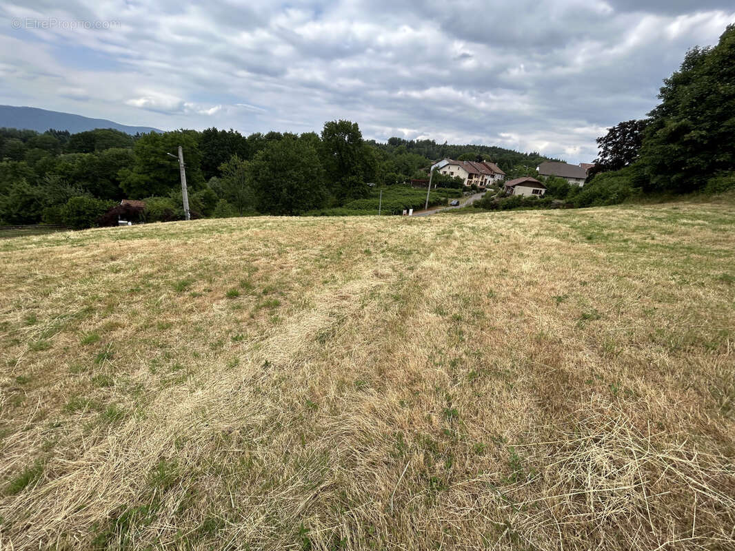 Terrain à BAN-DE-LAVELINE