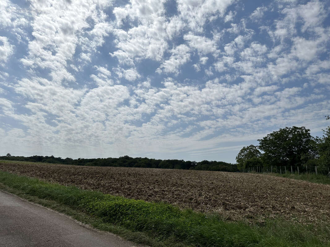 Terrain à VALLERY