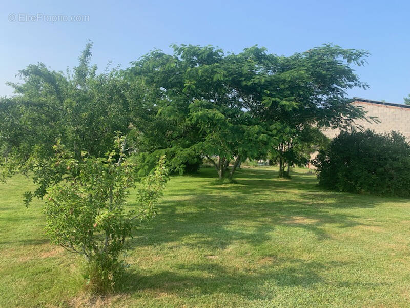 Maison à SAINT-JORY-DE-CHALAIS