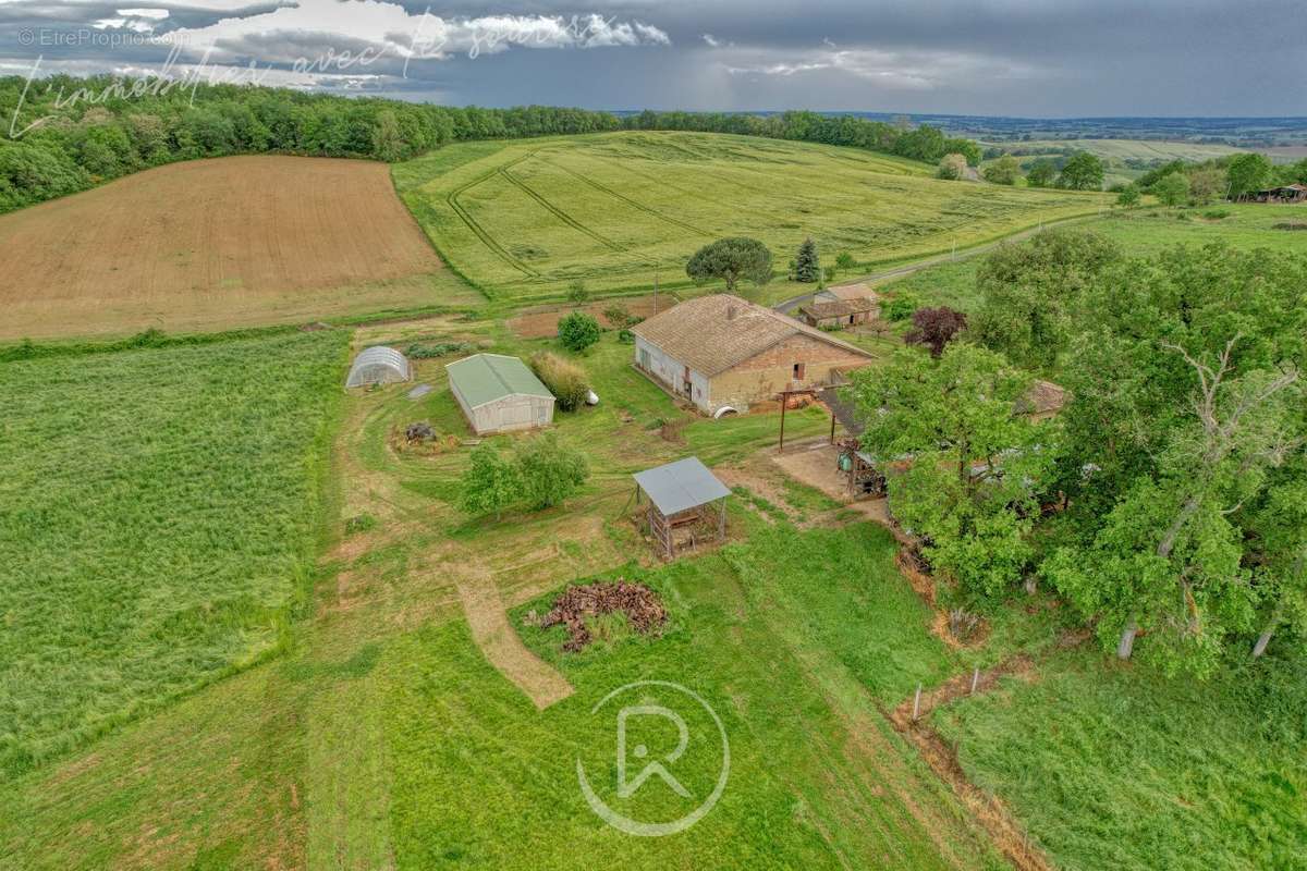 ferme gascogne - Maison à BEAUMONT-DE-LOMAGNE