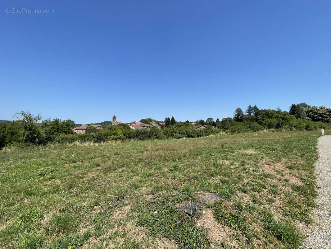 Terrain à BELVERNE
