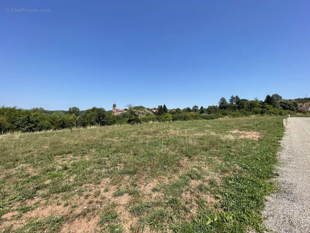 Terrain à BELVERNE