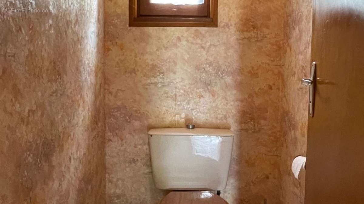 Toilette rdj - Maison à SAINT-CYPRIEN