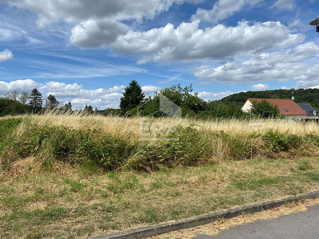 Terrain à BRANCOURT-EN-LAONNOIS