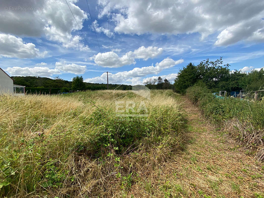 Terrain à BRANCOURT-EN-LAONNOIS