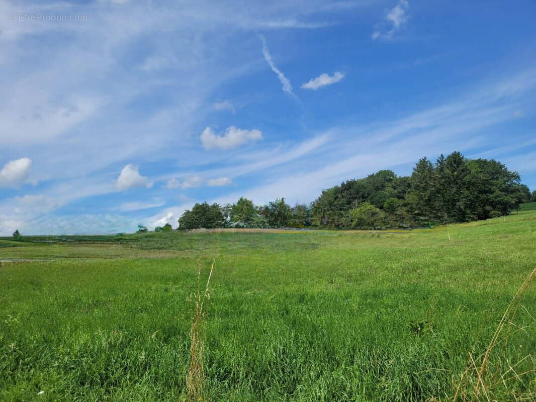Terrain à HAGENTHAL-LE-BAS
