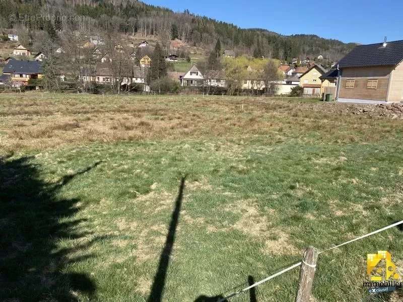 Terrain à COLROY-LA-ROCHE