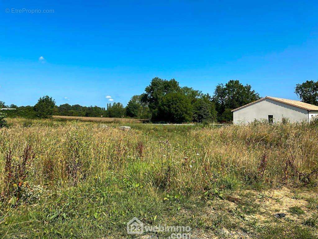 Autre vue. - Terrain à LA RENAUDIERE