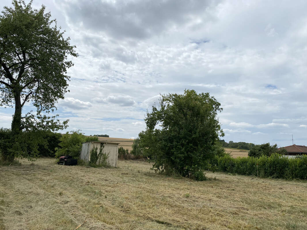 Terrain à CHAMPIGNY
