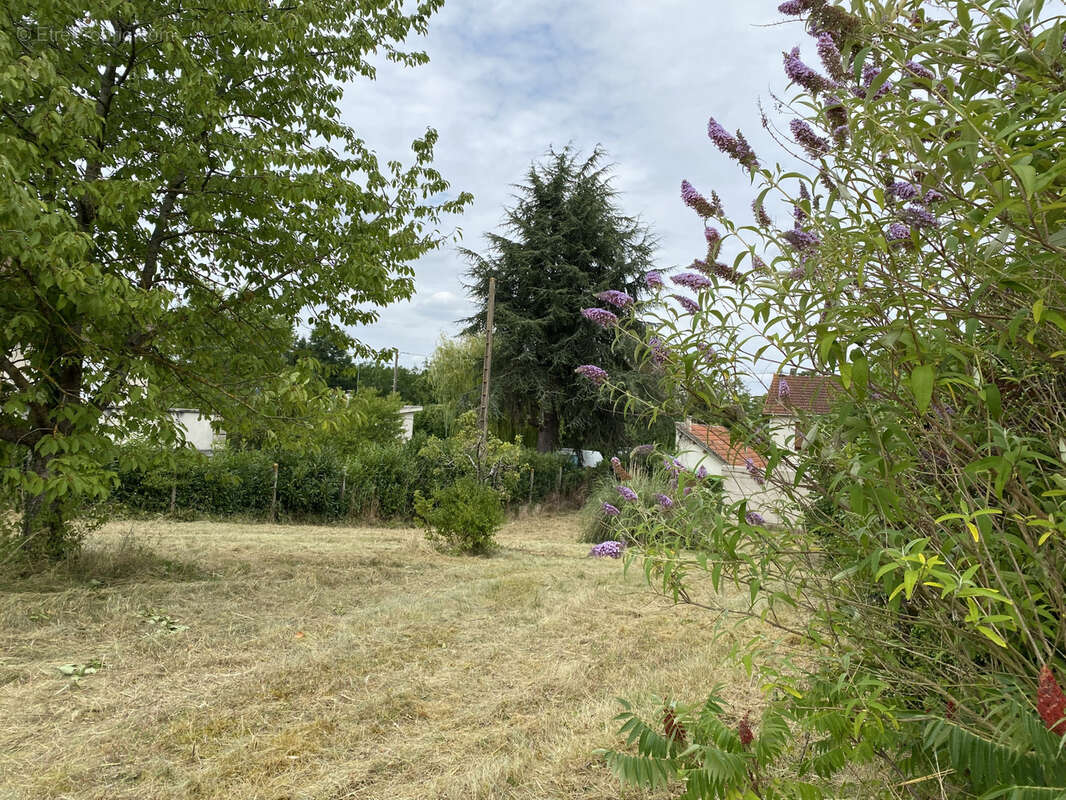 Terrain à CHAMPIGNY