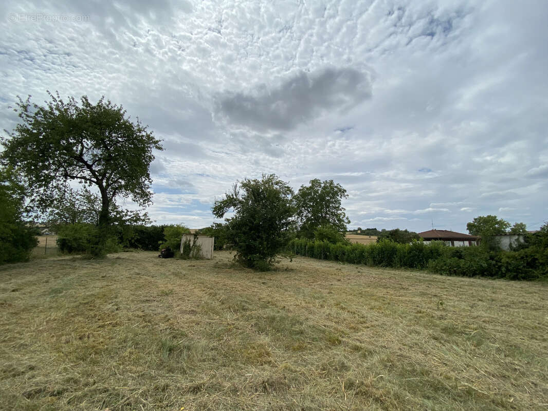 Terrain à CHAMPIGNY