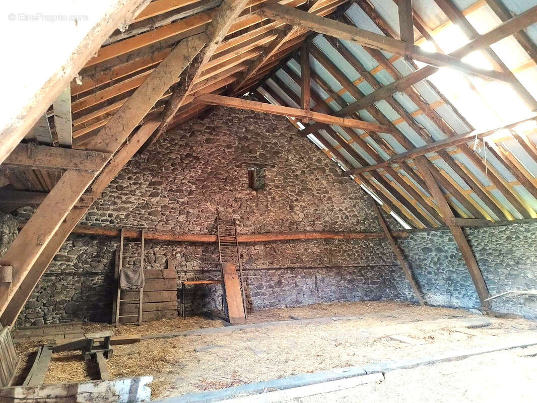 Maison à TARDETS-SORHOLUS