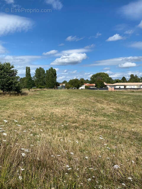 Terrain à SAINT-AIGULIN