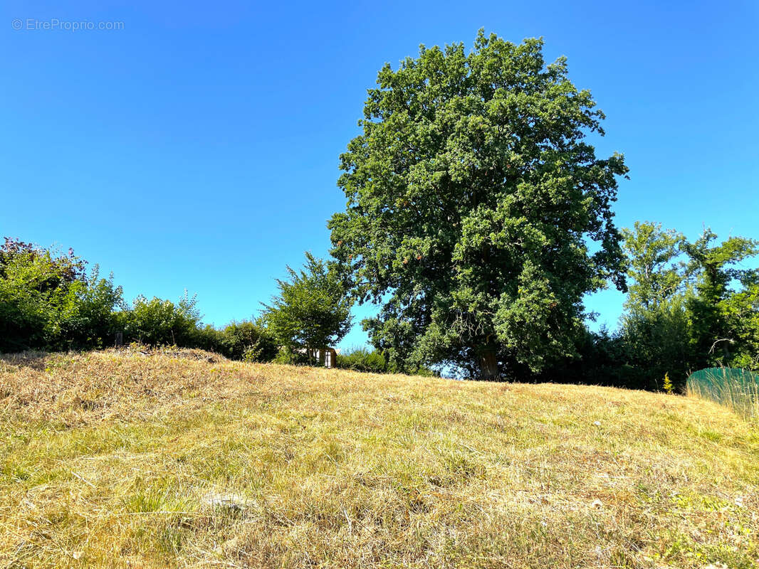 Terrain à SAINT-JACQUES-SUR-DARNETAL