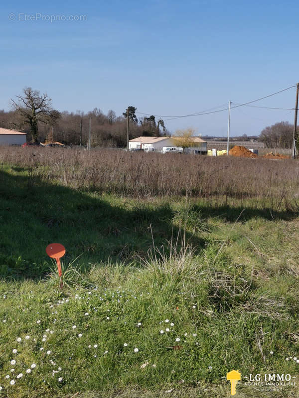 Terrain à BOIS