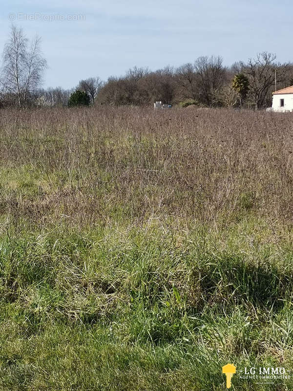 Terrain à BOIS