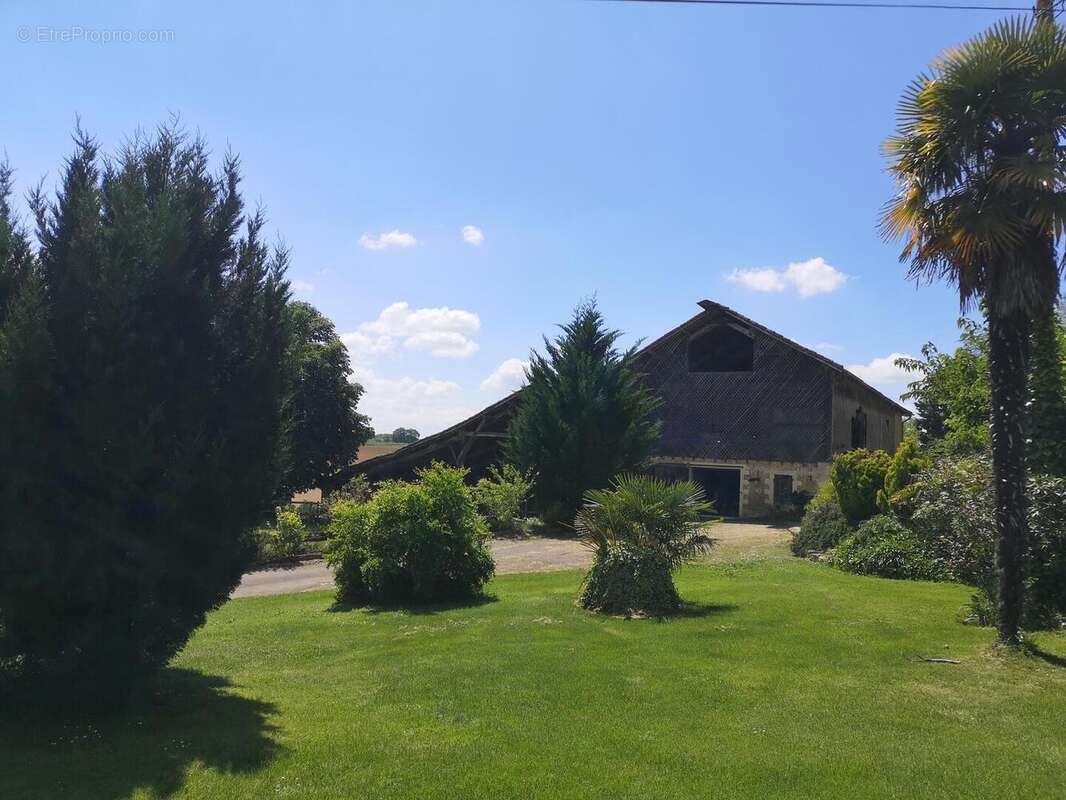 IMG20250516151457 - Maison à MONTESQUIOU