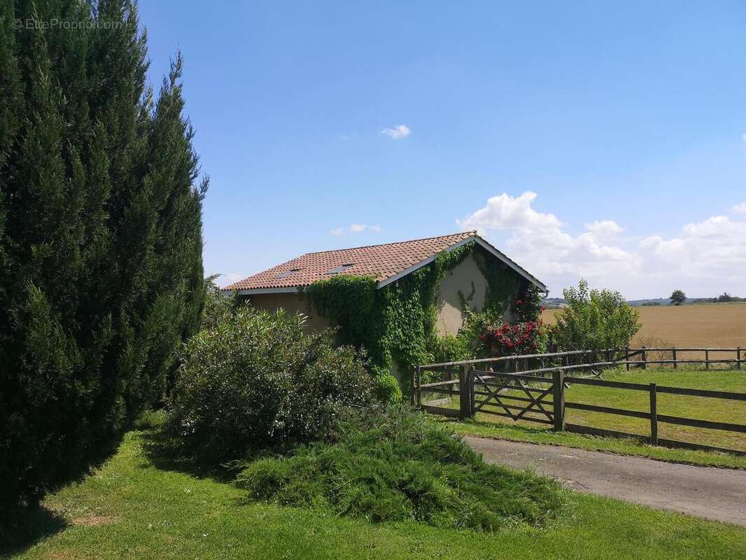 IMG20250516151545 - Maison à MONTESQUIOU