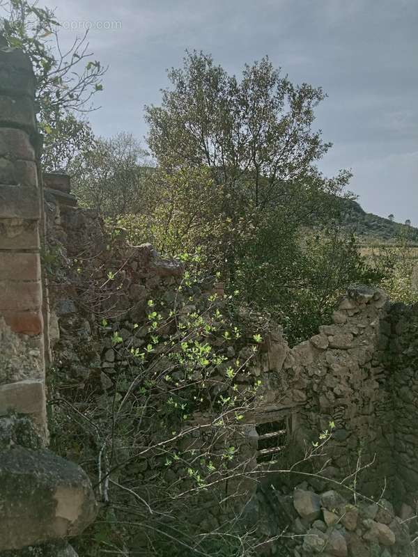 Maison à SAINT-HIPPOLYTE-DU-FORT