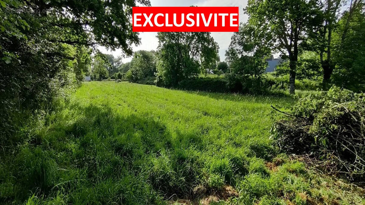 Terrain à SAINT-REMY-DE-SILLE