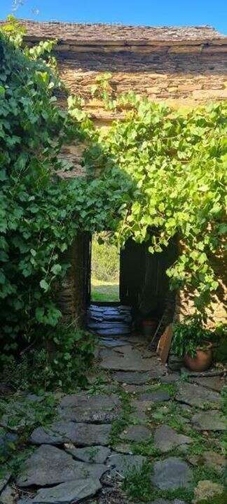 Maison à SAINT-ETIENNE-VALLEE-FRANCAISE