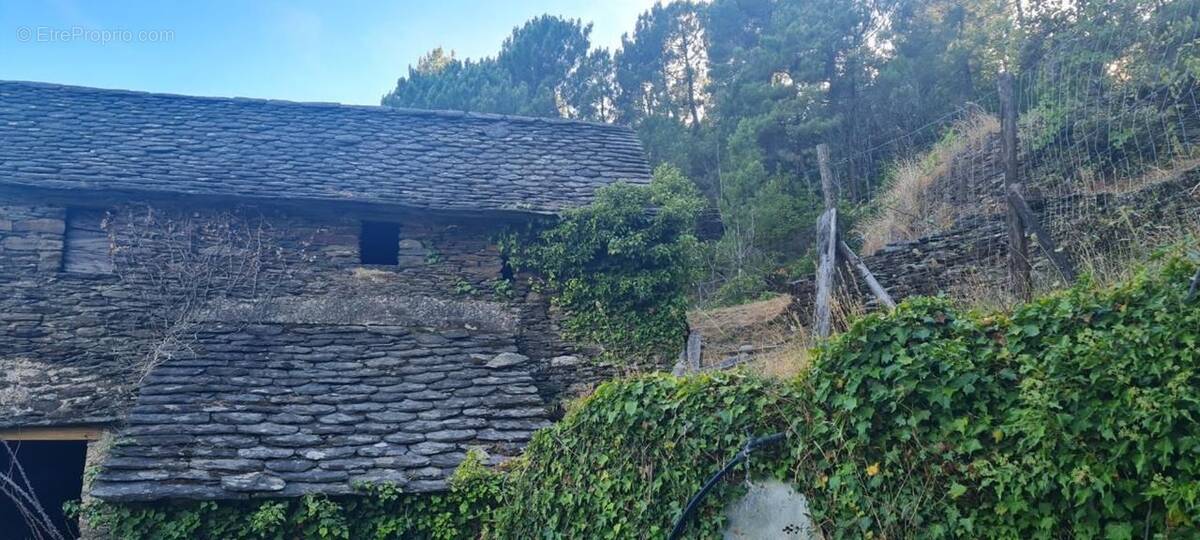 Maison à SAINT-ETIENNE-VALLEE-FRANCAISE