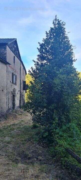 Maison à SAINT-ETIENNE-VALLEE-FRANCAISE