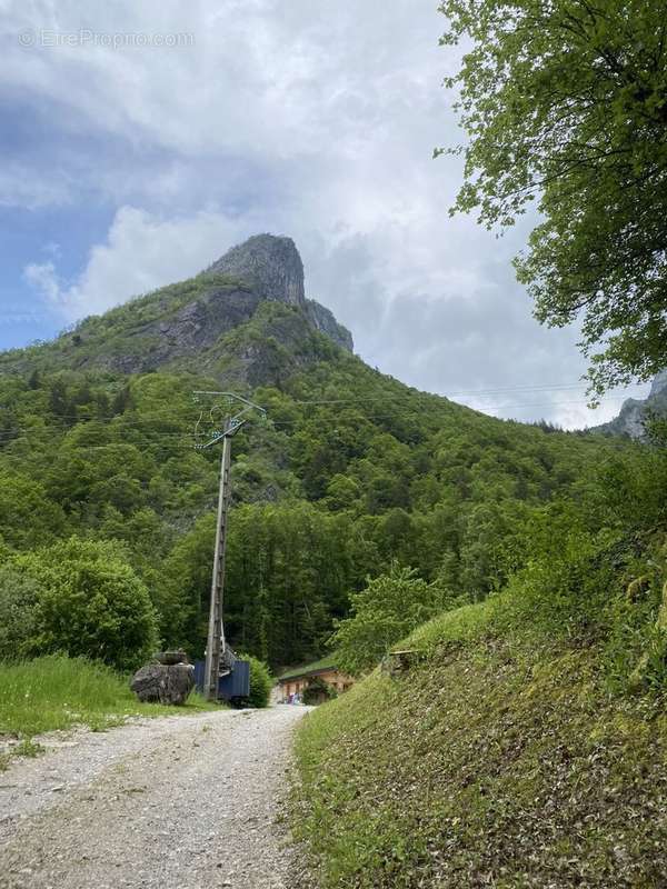 Terrain à VAILLY