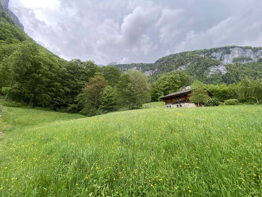 Terrain à VAILLY