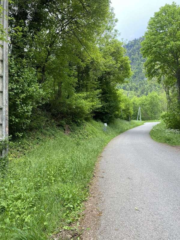 Terrain à VAILLY