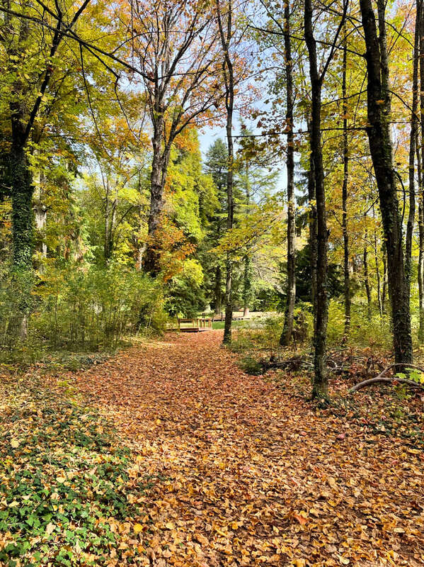 Commerce à SAINT-PIERRE-D'ARGENCON