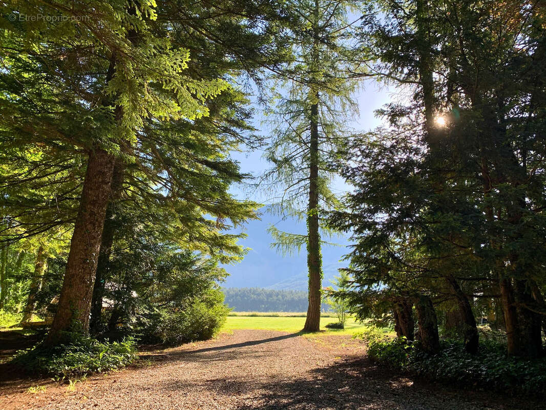 Commerce à SAINT-PIERRE-D'ARGENCON