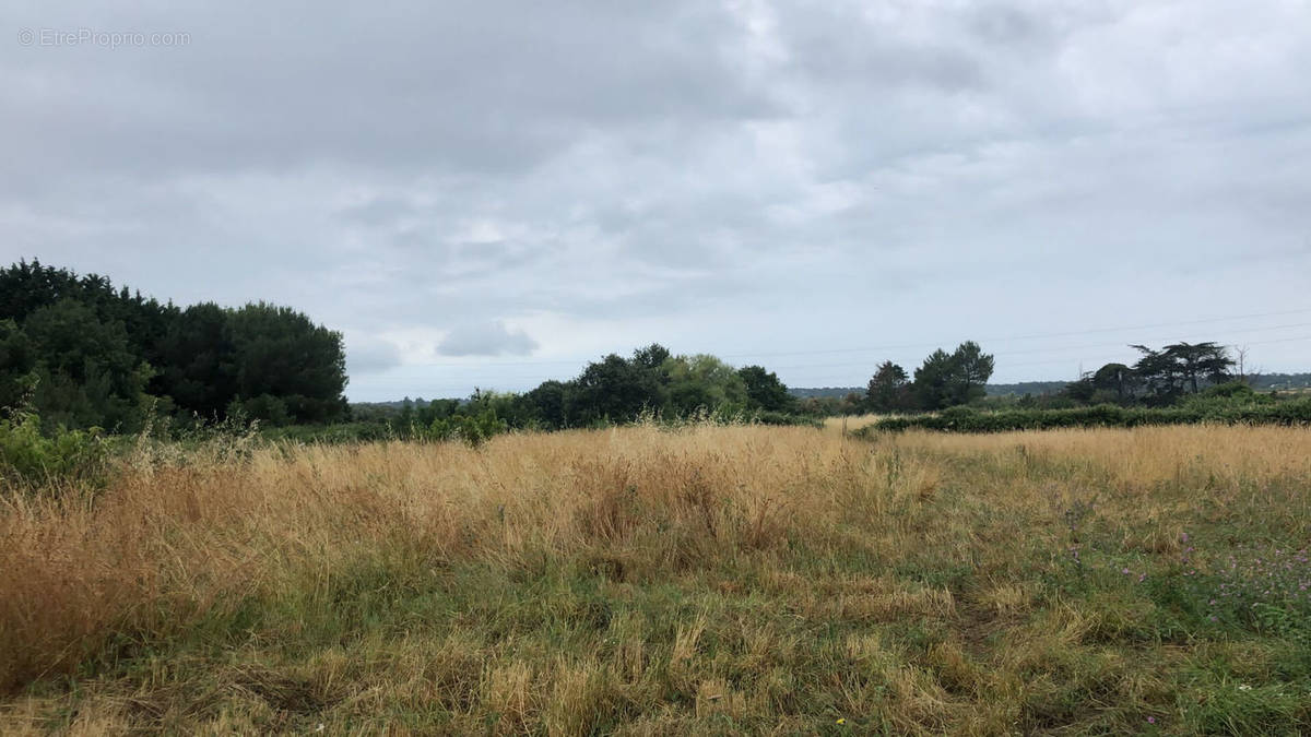 Terrain à LE CHATEAU-D&#039;OLERON