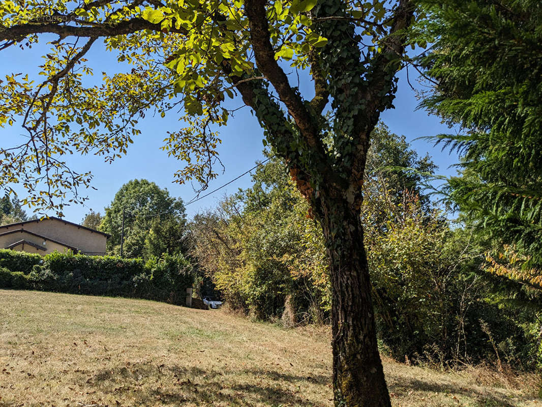 Terrain à CAPDENAC