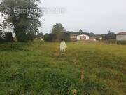 Terrain à VILLECHAUVE