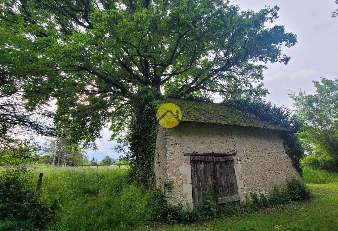 Terrain à MEZIERES-EN-BRENNE