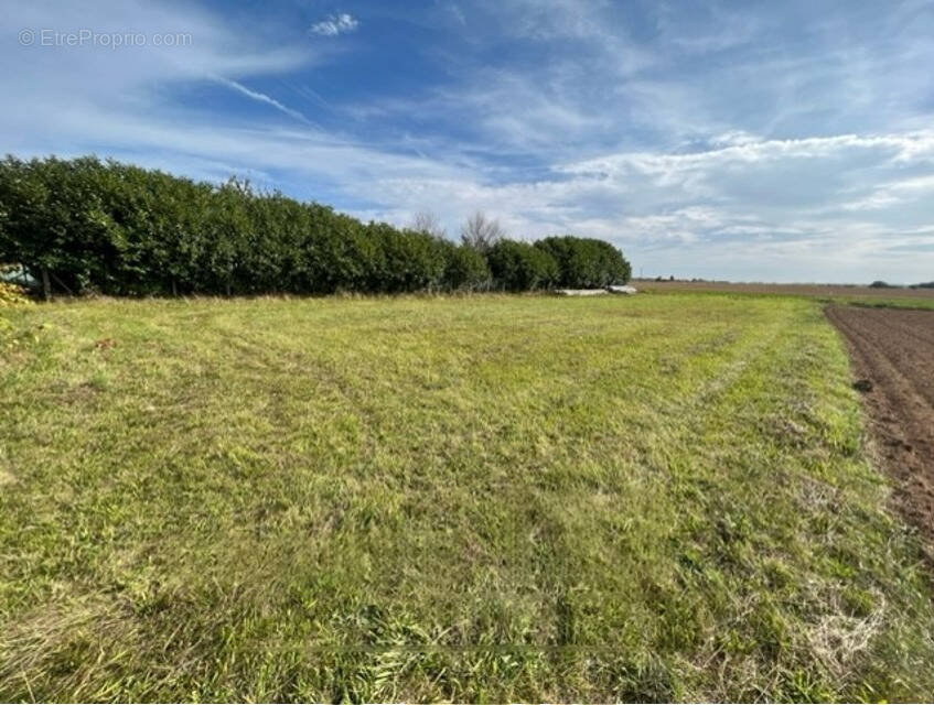 Terrain à BEAUMONT