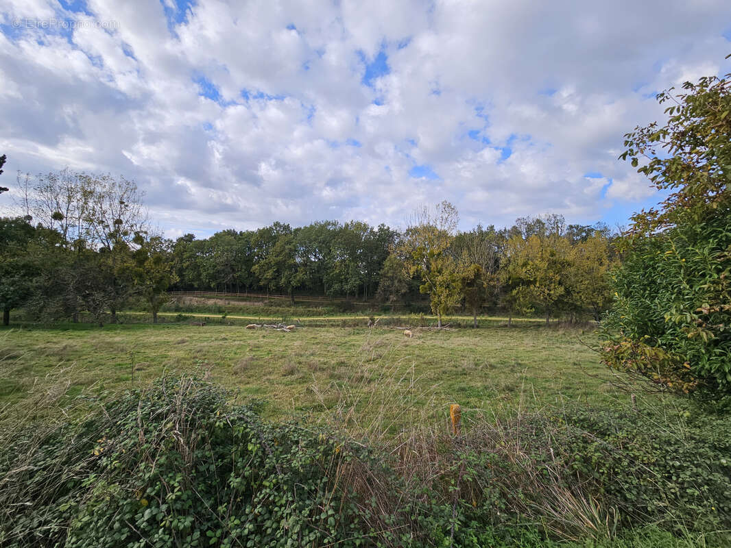 Terrain à VERN-SUR-SEICHE