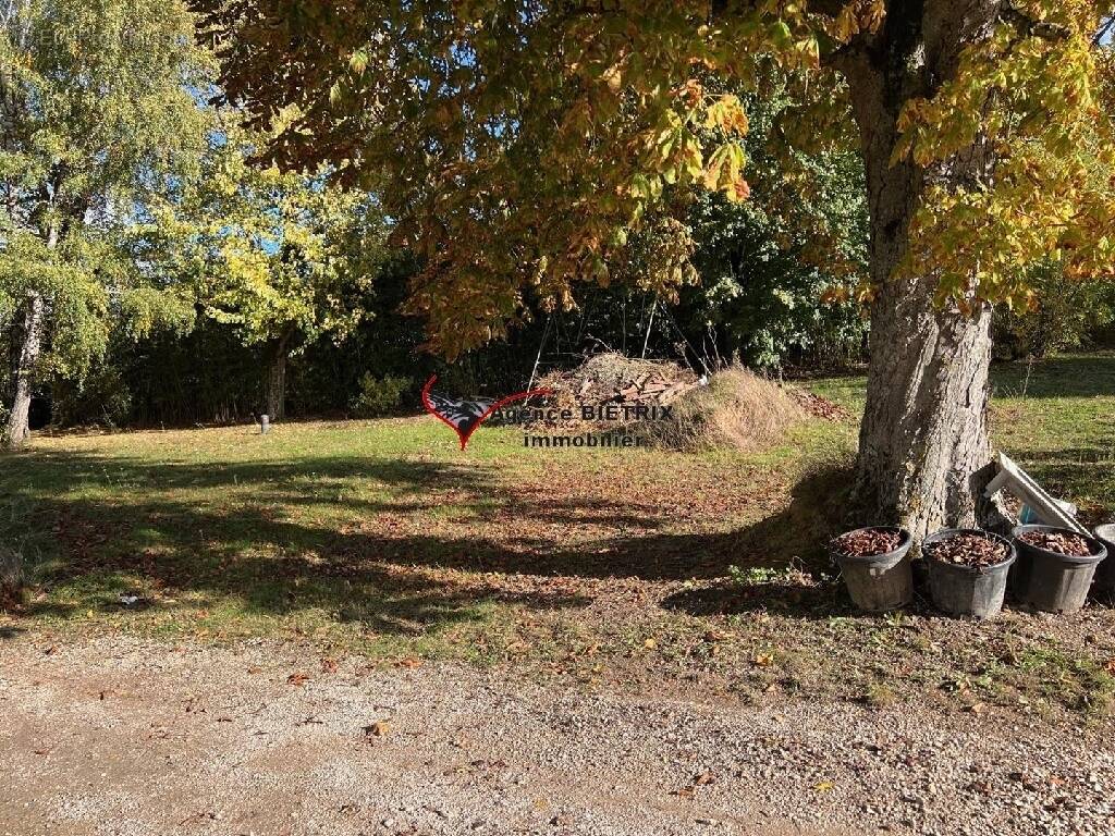 Terrain à NESLES-LA-VALLEE