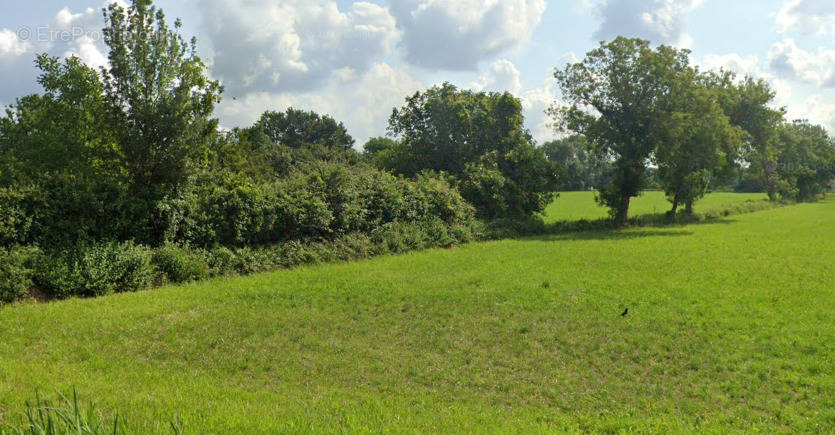 Terrain à SAINT-MARTIN-DE-CRAU