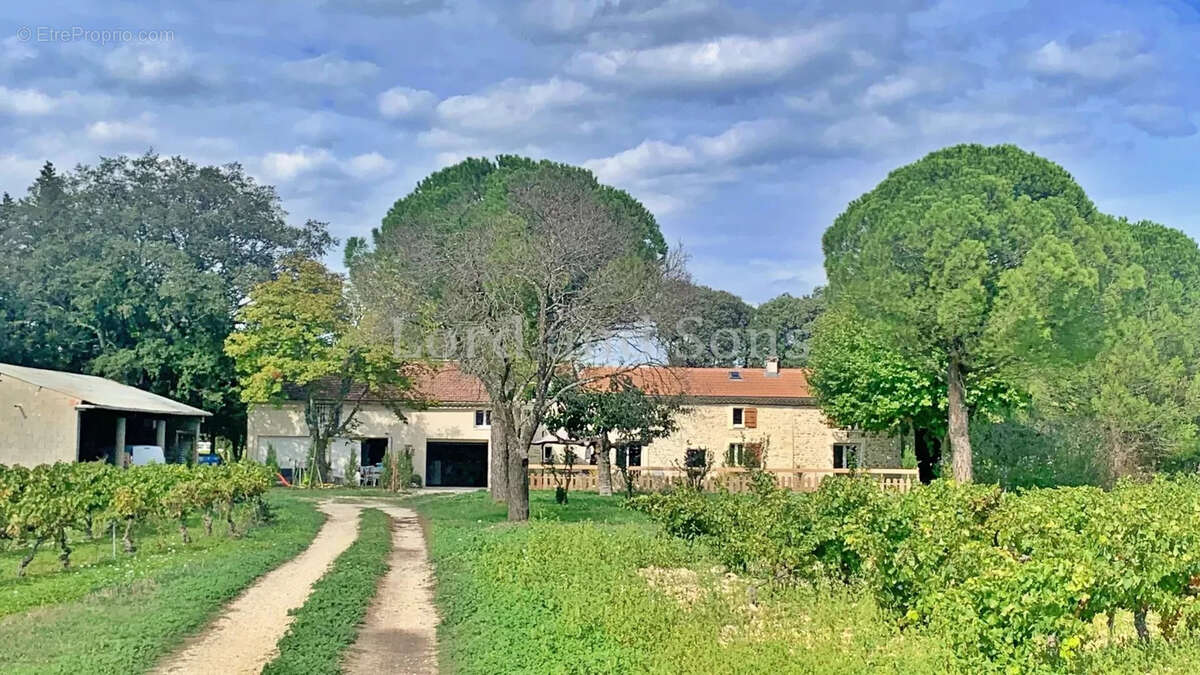 Maison à RICHERENCHES
