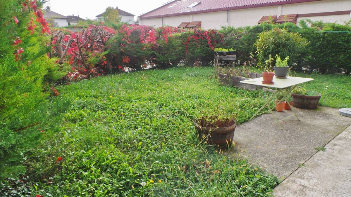 jardin + terrasse - Appartement à VIVIERS-DU-LAC