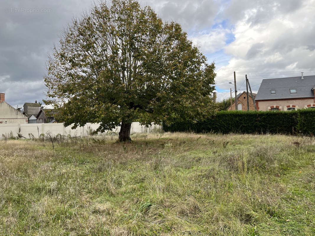 Terrain à LA MAROLLE-EN-SOLOGNE