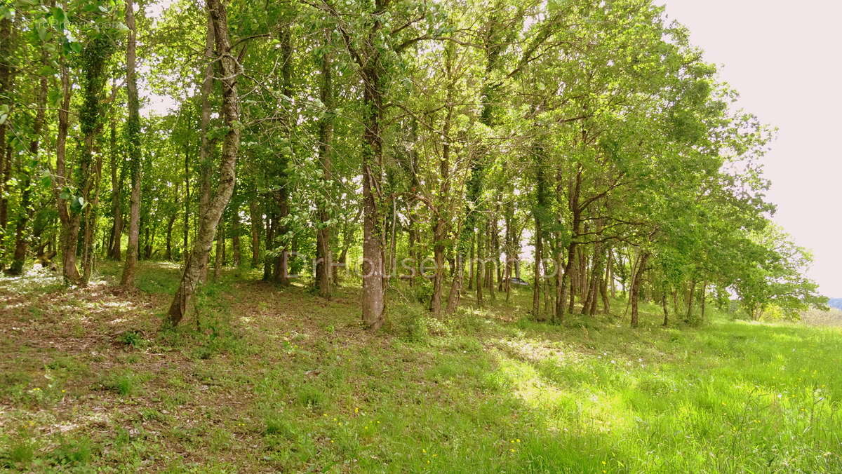 Terrain à VILLAMBLARD