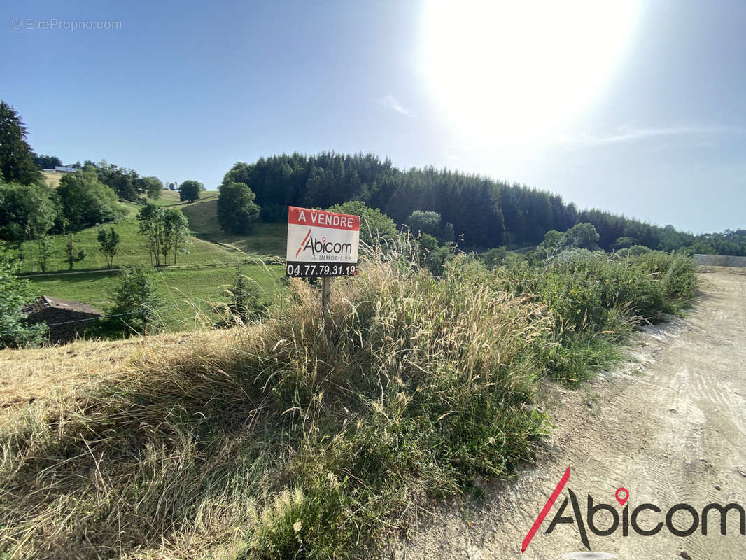 Terrain à SAINT-JUST-MALMONT